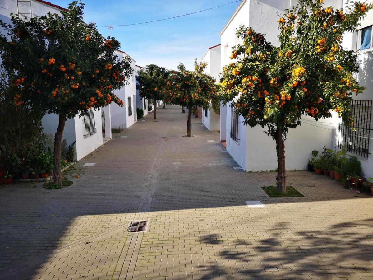 Hermoso Apartamento En Conil 科尼尔-德拉弗龙特拉 外观 照片